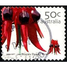 Australia 2005 Flower 50c Used P&S Stamp 11.25 Perf. Sturt's Desert Pea .