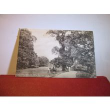 HADLEY WOODS, NEW BARNET GATE, LONDON used antique postcard c.1908 pm =