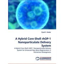 A Hybrid Core-Shell rhop-1 Nanoparticulate Delivery System