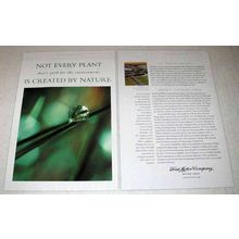 2001 Ford Motor Company Ad - Not Every Plant by Nature