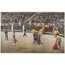 The Death Of The Bull 1920s Spanish Bullfight Antique Postcard