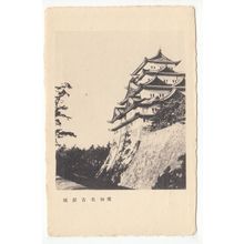 Nagoyajo Castle Aichi Japan Postcard