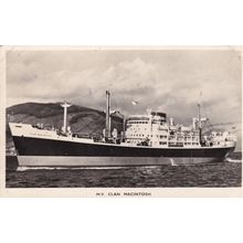 MV Clan Macintosh Scottish Scotland Line Ship Plain Back Postcard Photo