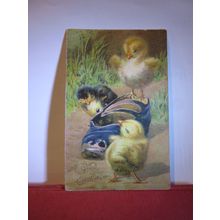 EASTER CHICKS & SHOE used antique postcard by Ernest Nister 1909 pm =