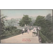 Endcliffe Woods, Sheffield, Yorkshire, c.1905 - John Walsh Postcard