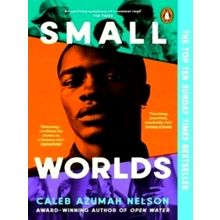 Small Worlds - Caleb Azumah Nelson
