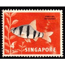 Malaya Singapore 1962 Fish 4c Used Stamp