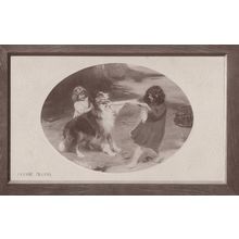 Come Along Dog Tug Of War Antique WW1 Real Photo Postcard