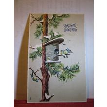CHRISTMAS GREETINGS. unused antique postcard by Raphael Tuck Blue Tit birds =