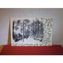 THE INVALID'S WALK, BOURNEMOUTH, DORSET used antique postcard by Welch 1903 pm =
