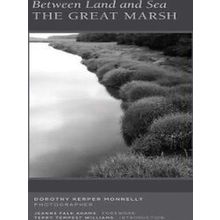 Between Land And Sea: The Great Marsh: Photographs By Dorothy Kerper Monnelly