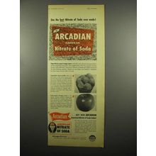 1954 Allied Chem. Arcadian American Nitrate of Soda Ad