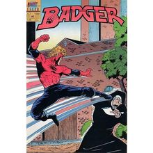 Badger (Vol 2) (First) # 040 NM MODERN AGE COMICS