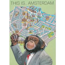 This Is Amsterdam Monkey Chimpanzee Map Rare Postcard
