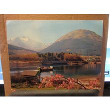 BALLACHULISH FERRY unused postcard A D Henderson Jumbo Print /