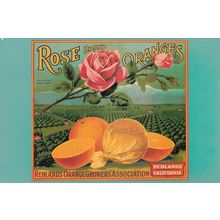 Rose Oranges Redlands Orange Fruit Growers Assoc Postcard