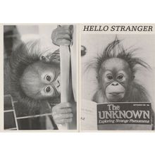 Monkey Reading Sci Fi Occuly Magazine 2x Comic Postcard s