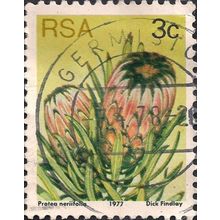 SOUTH AFRICA, FLOWERS, Protea nerifolia, yellow 1977, 3c