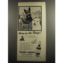 1952 Black & White Scotch Ad - Home on the range!