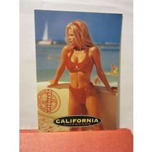 LIFEGUARD, BIKINI GIRLS, CALIFORNIA, USA unused postcard #