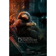 Fantastic Beasts_ The Secrets of Dumbledore (2022)_6 Movie Film Poster Canvas ic
