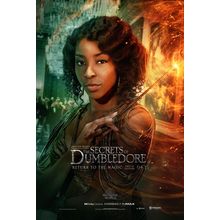 Fantastic Beasts_ The Secrets of Dumbledore (2022)_11 Movie Film Poster Canvas i