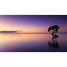 Sunset Poster Canvas Movie Film Print A0 A1 A2 A3 A4 A5 A6 Art Wall Decoration