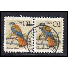 Used 2476 1c American Kestrel (2) Marina Del Ray, CA. E0085