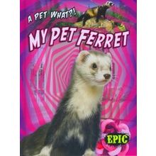 A Pet What: My Pet Ferret