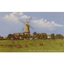 Downham Market Mill Norfolk Postcard