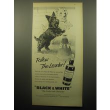 1959 Black & White Scotch Ad - art by Morgan Dennis - Follow the Leader