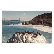 SEAL ROCKS, SAN FRANCISCO....used postcard 1981 postmark =