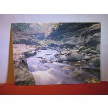 HOW STEAN GORGE, YORKSHIRE unused postcard #