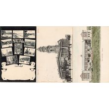 New Drill & Town Hall Durban 3x South Africa Antique Postcard
