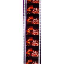 Pk DAU - J - MIX - a 010J. 1 STRIP OF 5 - 35MM FILM CELLS. (E J )