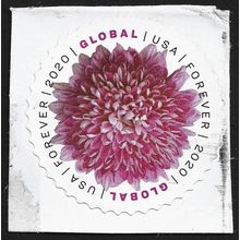 USA 2020 Global Forever USED on paper @A464