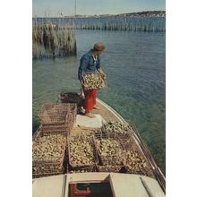 Bassin D'Arcachon French Oyster Fishing Postcard