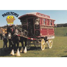 Burton Romany Horse Gipsy Wagon Peppa Pig Paultons Hampshire Postcard