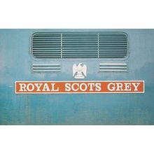 Royal Scots Grey British Rail Train Nameplate Rare Postcard