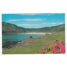 Calgary Sands Tobermory Isle of Mull Postcard Scotland 36298