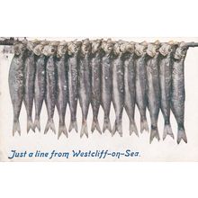 ED 135 JUST A LINE FROM WESTCLIFFE ON SEA . PRINTED POSTCARD.