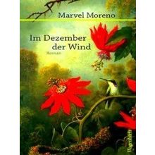 Im Dezember Der Wind