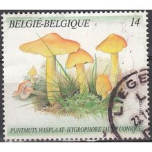 Belgique 1991 Michel 2473 O Cote (2008) 1.75 € Hygrophore jaune Conique