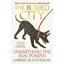 The Buried City: Gabriel Zuchtriegel. signed hardback