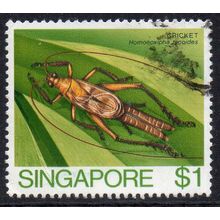 Singapore 1985 Insects - Cricket $1 Used