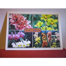 multiview, flowers of MADEIRA, PORTUGAL used postcard #
