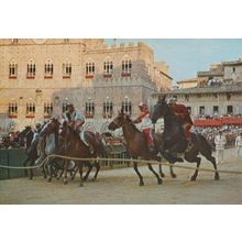 Siena Rodeo Start Of Horse Race Italian Racing Starters Orders Postcard