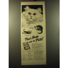 1949 Puss 'n Boots Cat Food Ad - Puss'n Boots adds the Plus