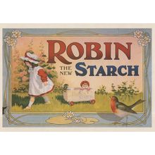 Robin Starch Old Bird Advertising Campaign Rare Poster Postcard