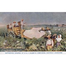 Gathering Grapes Gilbey's Vineyards Wine From 1908 Franco Exhibition Wine Postca